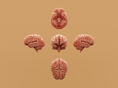Brainfitness is hot, maar levert het ook iets op?